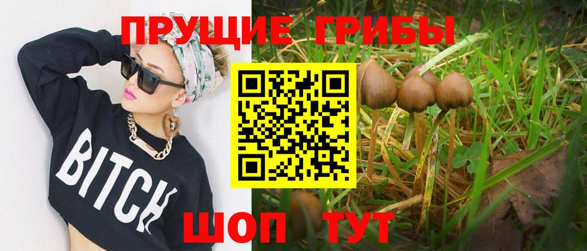 Псилоцибиновые грибы Magic Shrooms Борзя